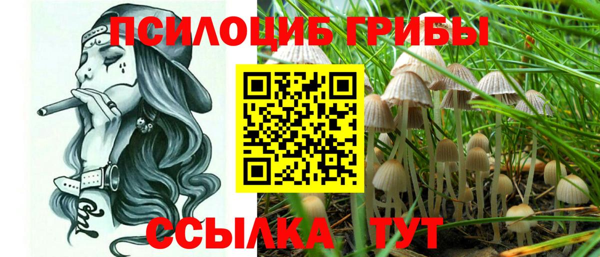 Псилоцибиновые грибы Cubensis Ростов-на-Дону