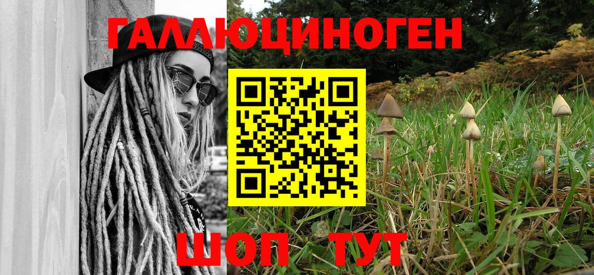 Галлюциногенные грибы Cubensis  Псилоцибиновые грибы Magic Shrooms  Вход с VPN  Ростов-на-Дону 